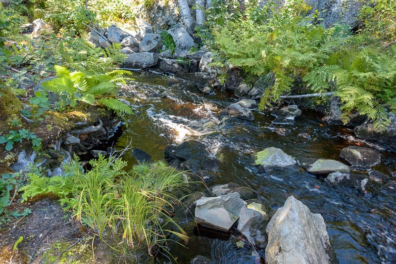 20210919-DSC_5380 20210919-DSC_5380