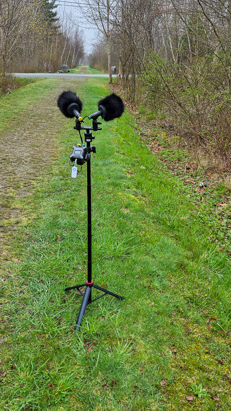 Zoom F3, Rode M5, Bubblebee Windkillers
