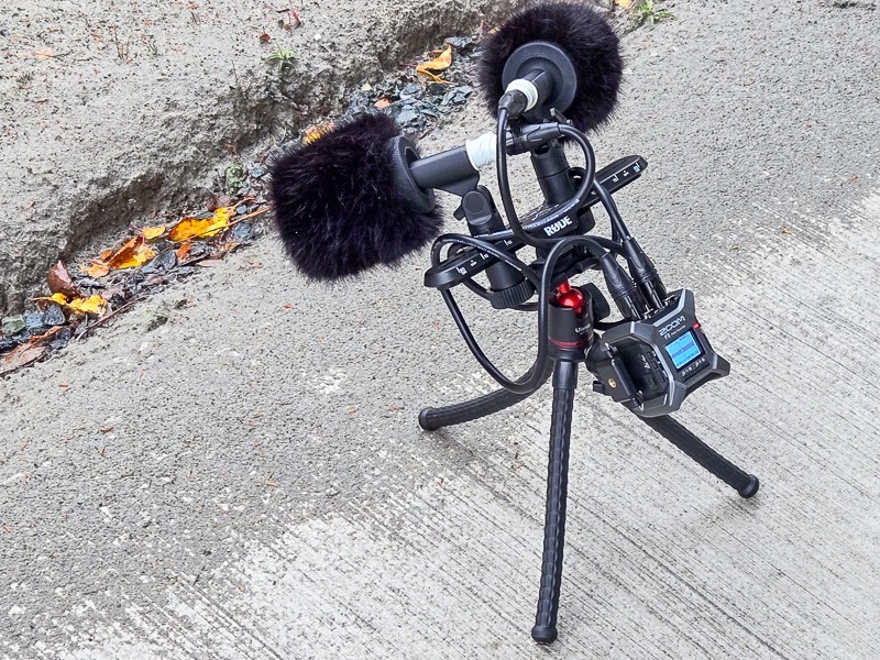 Zoom F3, Rode M5s Zoom F3, Rode M5s